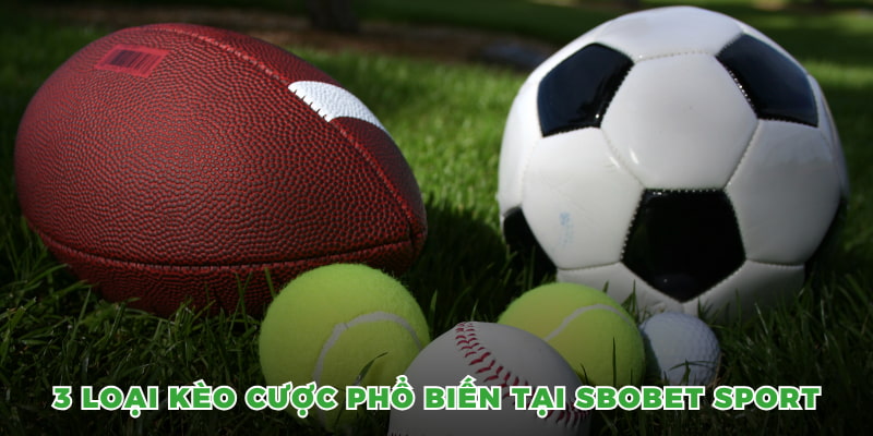 Sbobet Sport - Cá Cược Thể Thao Hấp Dẫn Ngay Tại OK9 6 3 loại kèo cược phổ biến tại Sbobet sport