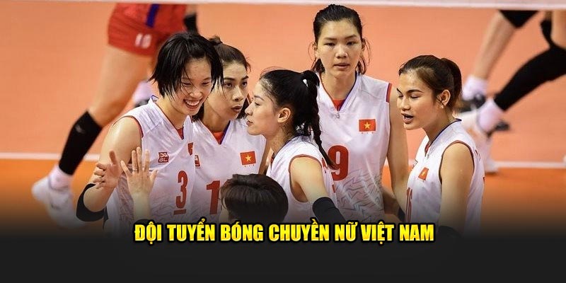 Bóng Chuyền Nữ Việt Nam: Niềm Tự Hào Thể Thao Nước Nhà 6 Tuyển bóng chuyền nữ Việt Nam